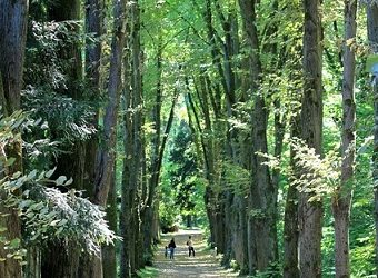 Appel à projets national « Défense des forêts contre les incendies »