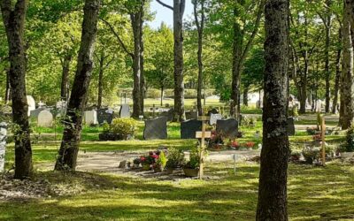 Végétalisation, consultation citoyenne : comment passer à l’action ?